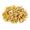 MANZANILLA