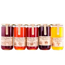 MIEL  DE BOSQUE DE MONTAÑA